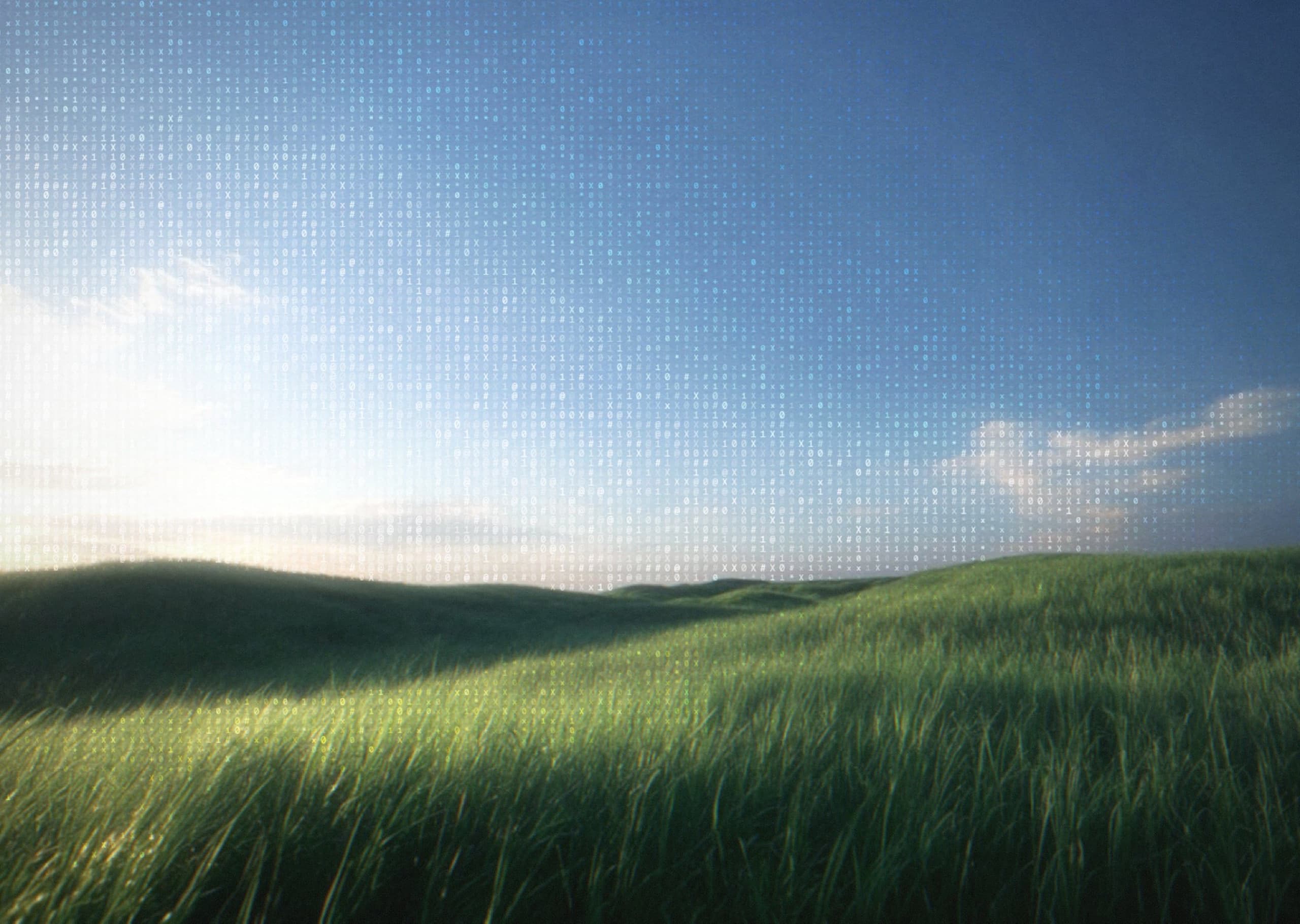 Tall grass on rolling hills under a wide pale blue sky